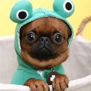 Meet your Posher, Jasmine r